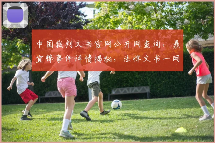 中国裁判文书官网公开网查询，鼎宜锋事件详情揭秘，法律文书一网打尽，三步轻松查看