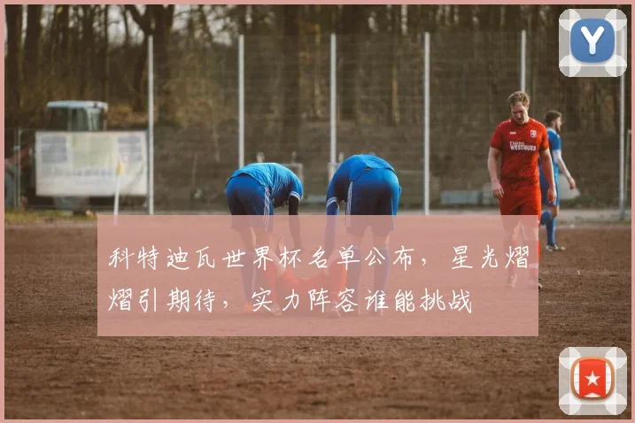科特迪瓦世界杯名单公布，星光熠熠引期待，实力阵容谁能挑战