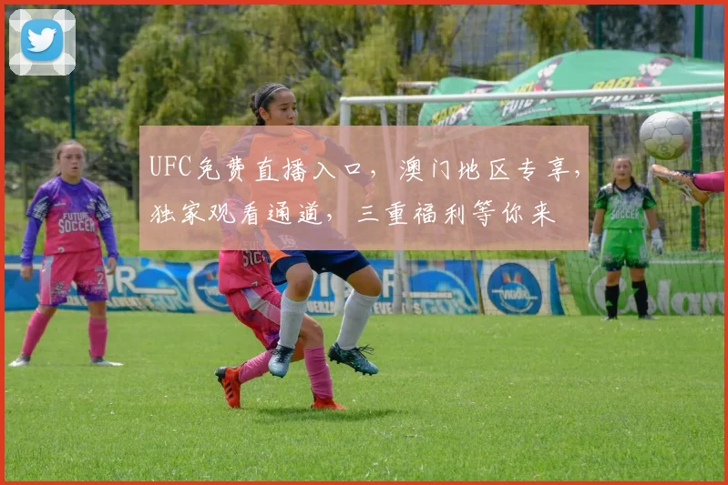 UFC免费直播入口，澳门地区专享，独家观看通道，三重福利等你来