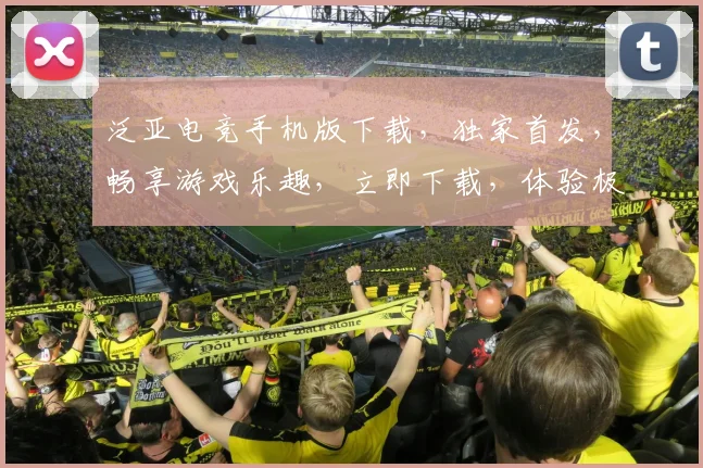 泛亚电竞手机版下载，独家首发，畅享游戏乐趣，立即下载，体验极致竞技