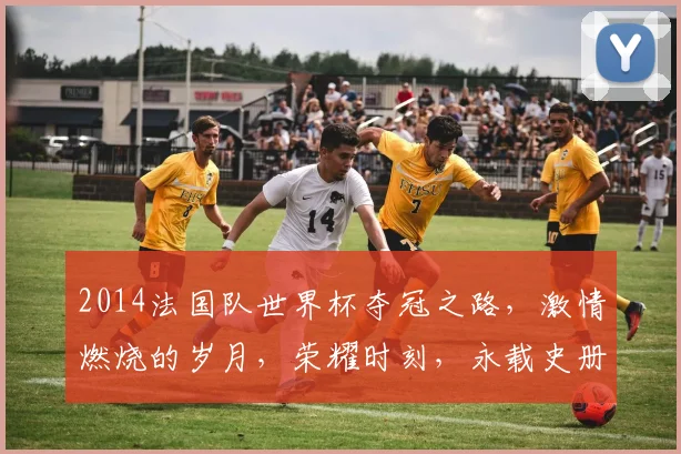 2014法国队世界杯夺冠之路，激情燃烧的岁月，荣耀时刻，永载史册
