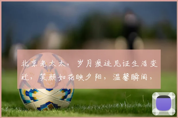 北京老太太，岁月痕迹见证生活变迁，笑颜如花映夕阳，温馨瞬间，感人至深。