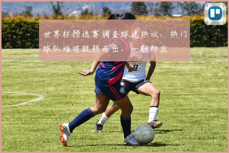 世界杯预选赛调查球迷热议，热门球队谁将脱颖而出，一触即发